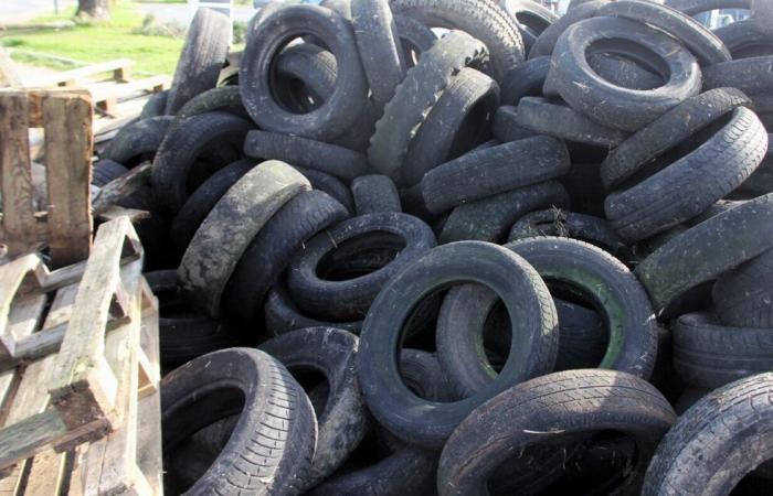 a hundred tires discovered in the woods of Béthelainville