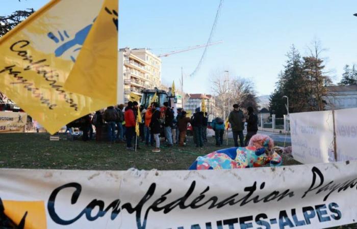 Gap. The Peasant Confederation occupies the Cèdre roundabout