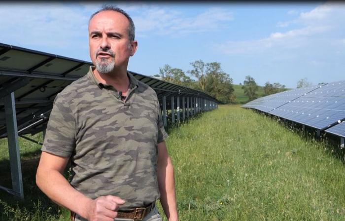 Francis Auriol, breeder in Fanjeaux (Aude): “agrivoltaic installations generate a gross minimum wage for me every month”