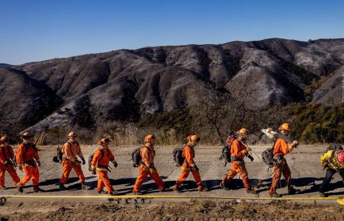 Los Angeles fires: the ultra-rich call on private firefighters to protect their homes, the initiative causes a scandal