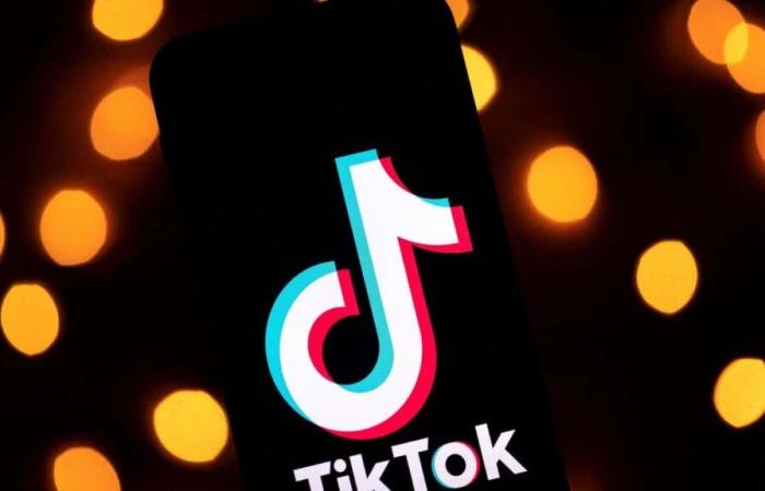 Do without TikTok? The American music industry is worried