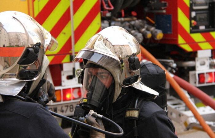 400 pigs die after a fire on a farm in Vendée