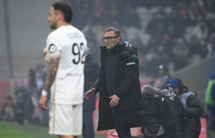 Nice coach Franck Haise regrets 'frustrating and disappointing defeat' against Lille