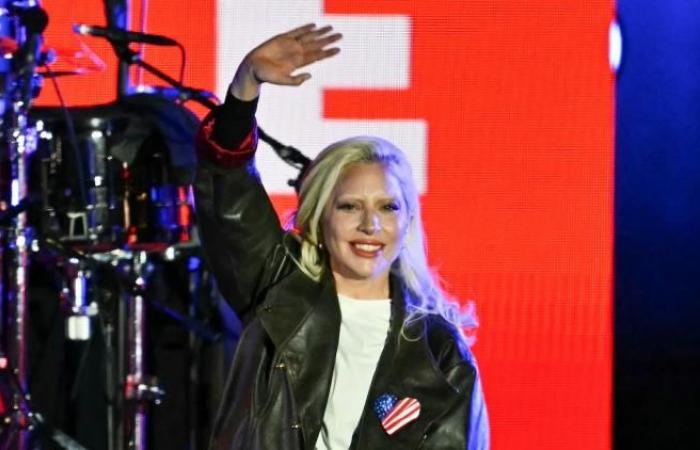 Lady Gaga, Joni Mitchell, Katy Perry, Sting and Billie Eilish to perform at FireAid, a major charity event