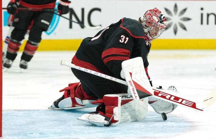 NHL: the Hurricanes finally find their number one goalie