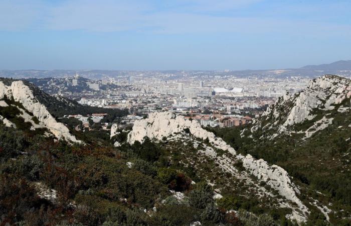 Suspicious death of a man whose body was found by a bus driver at the gates of the creeks in Marseille