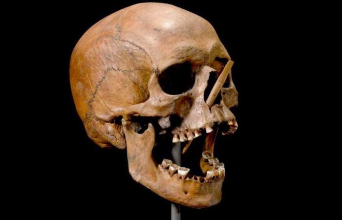 Cold case solved 5,600 years later in Denmark