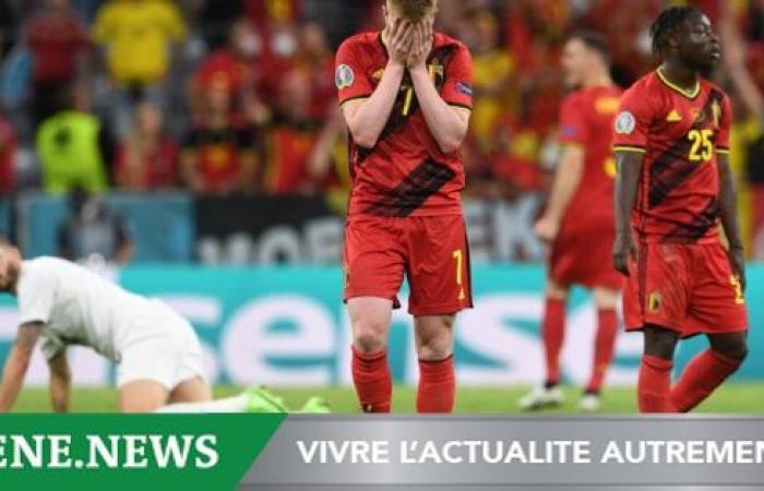 Belgium sacks its coach (official)