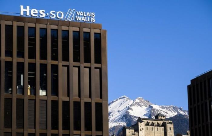 1/4 of students and staff at HES-SO Valais-Wallis have experienced sexist remarks