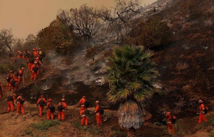 Los Angeles fires: Inmates reinforce firefighters