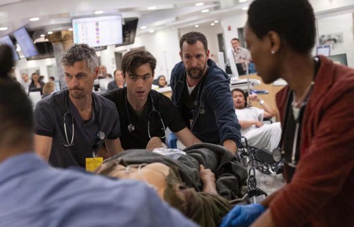 30 years after Emergency, hospital series still fascinate