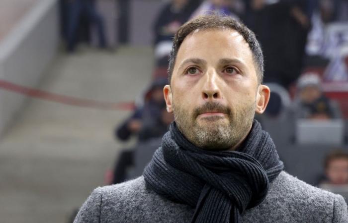 Tedesco and the Red Devils, it’s over: the coach sacked by Mannaert