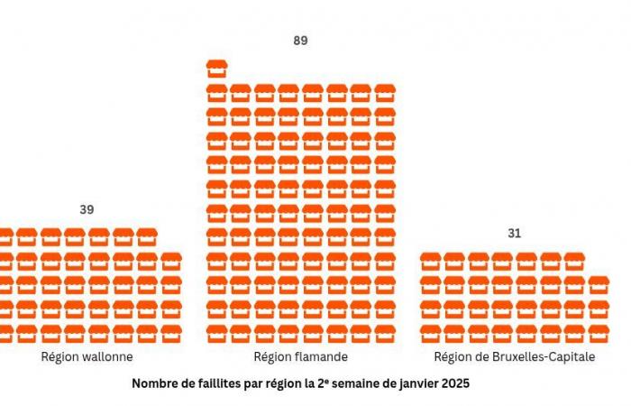 159 bankruptcies in Belgium in one week: which sector is most affected?