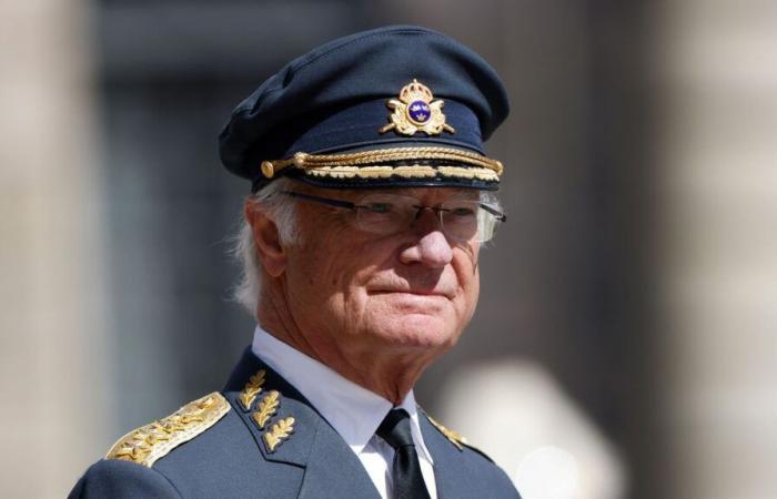 Royal guard impaled with own bayonet at palace, King Carl XVI Gustaf of Sweden reacts