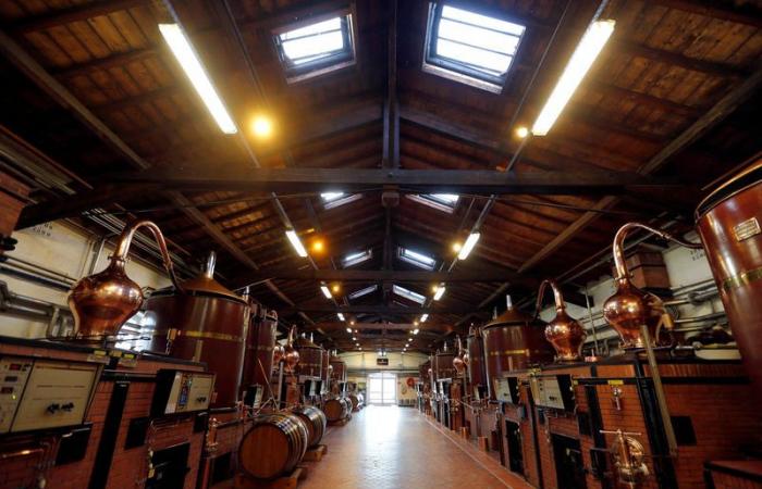 France: Cognac exports to the USA on the rise in December – January 17, 2025 at 6:51 p.m.