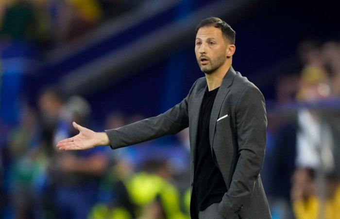 Belgium sack manager Domenico Tedesco after Thibaut Courtois row