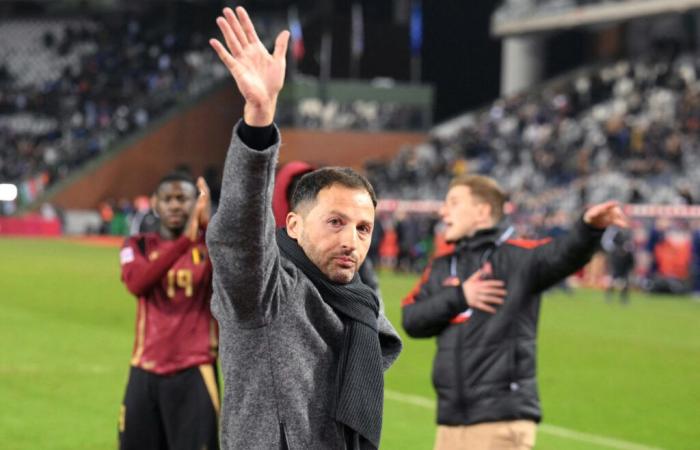 RTL Infos – Football: In the midst of a crisis, Belgium fires its coach Tedesco