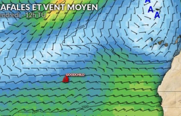 Vendée Globe weather: lots of uncertainty for the pursuers