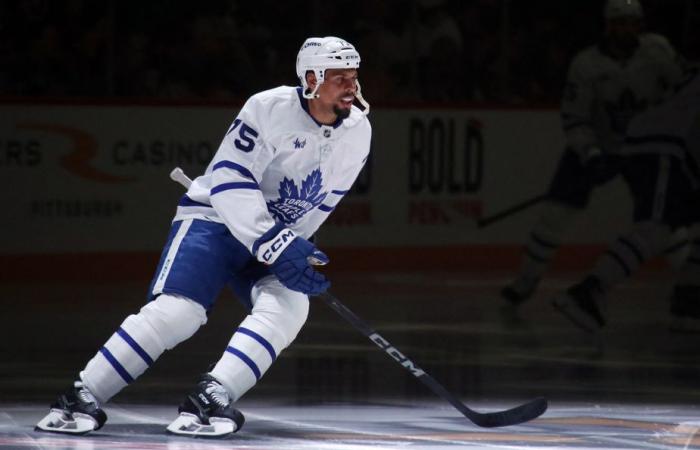 Maple Leafs – Canadian | Robustness and defensive play on the menu