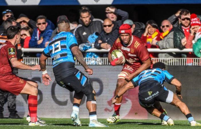 Rugby – Challenge Cup: in Parma, USAP has the cards in hand to dream bigger