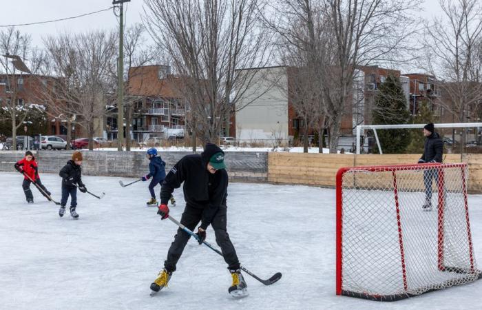 Well-filled parks before the arrival of polar cold