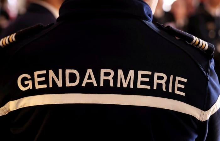 The body of a woman discovered at her home in Vendée, her partner confesses to the murder while he was drunk