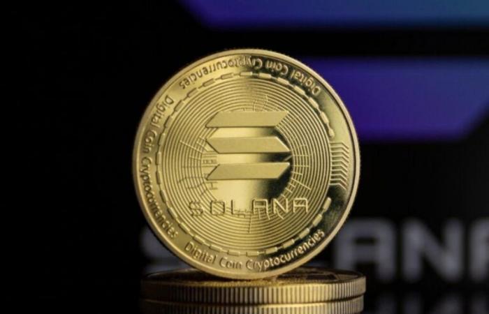 SOL Has 50% Chance of Flipping Ethereum, Will Bonk Become the Shiba Inu of Solana, Trader Says