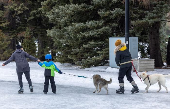 Well-filled parks before the arrival of polar cold