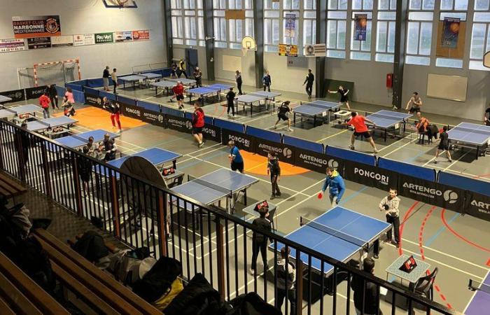 Salles-d'Aude: Salois table tennis players very well represented at the Coupe de l'Aude