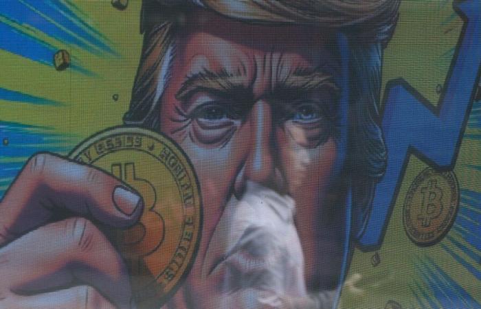 What is “Trump Meme”, this cryptocurrency launched by Donald Trump and already valued at several billion dollars