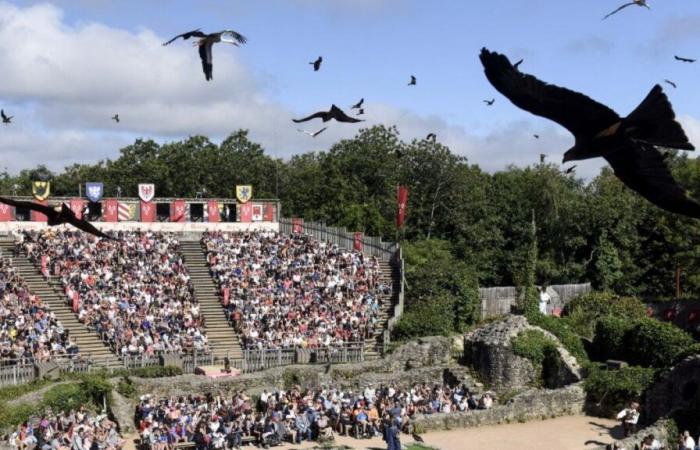 Puy du Fou ineligible for the Culture Pass? 5 minutes to understand the controversy