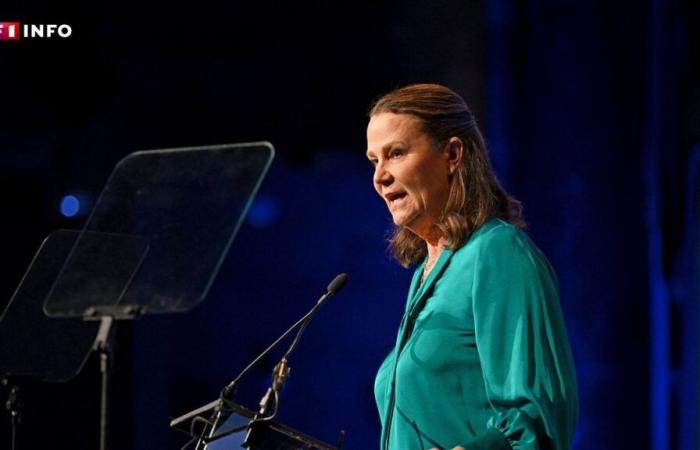 Los Angeles: Tennis legend Pam Shriver's trophies stolen after being saved from flames