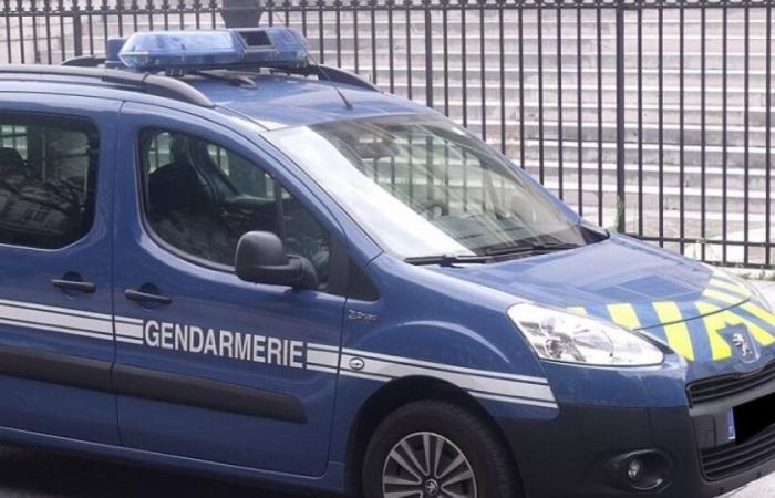 Gard: a man taken into police custody after the attack on a jogger near Nîmes: News