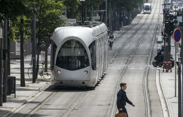 major disruption on the trams this Sunday morning