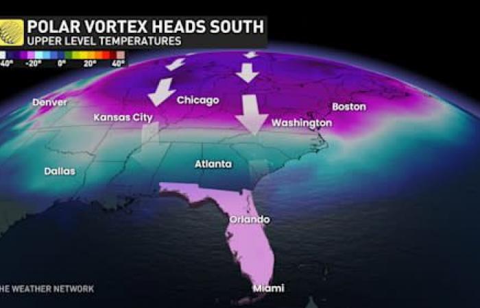 Snow in Florida? Retirees in unprecedented cold and a winter storm in sight!