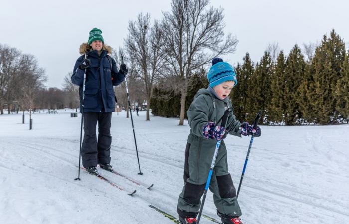 Well-filled parks before the arrival of polar cold