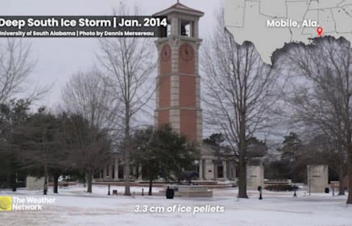 Snow in Florida? Retirees in unprecedented cold and a winter storm in sight!