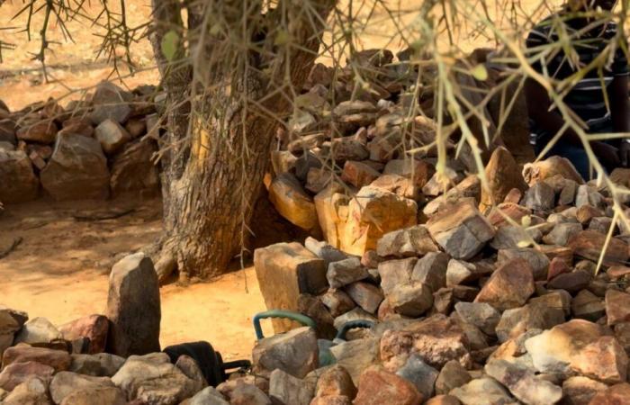 [Vidéo] Bakel: Discovering the spiritual retreat site of Cheikh Oumar Foutiyou Tall