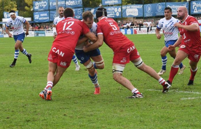 Rugby, National: the recovery was too harsh for the representative of Dordogne