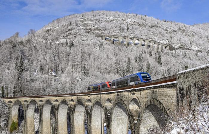 Swore. More “snowshoes” or “discovery of know-how”? | Jura: all the local information