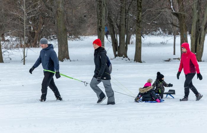 Well-filled parks before the arrival of polar cold