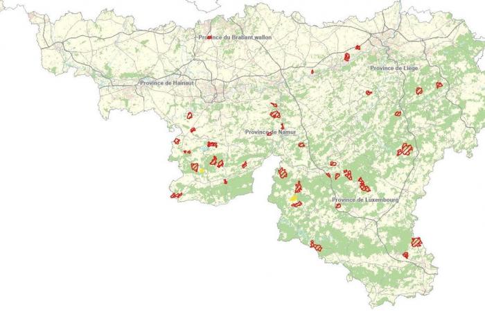 Paths to avoid this weekend when walking, hiking or cycling in the forests of Wallonia