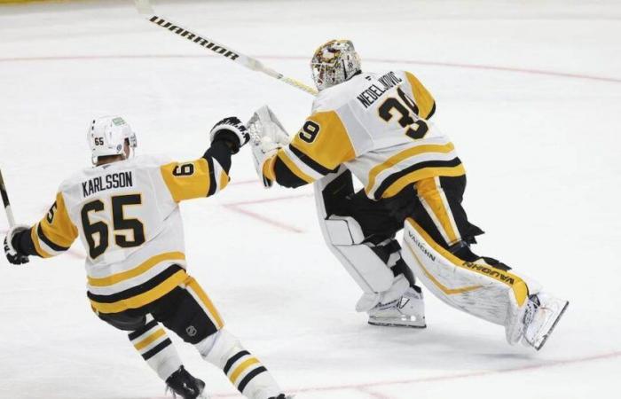 Pittsburgh goalie Alex Nedeljkovic scored a goal and provided an assist (an unprecedented feat in the NHL) during the 5-2 victory at Buffalo – rts.ch