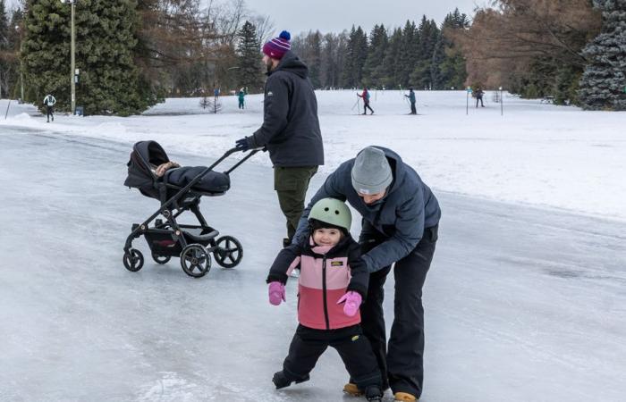 Well-filled parks before the arrival of polar cold