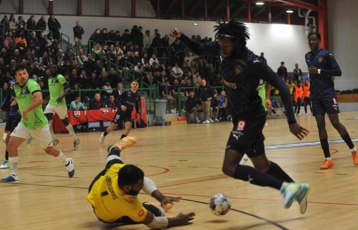 Loire-Atlantique – Fustal. Division 1: Nantes avoids the worst against Paris. Sport