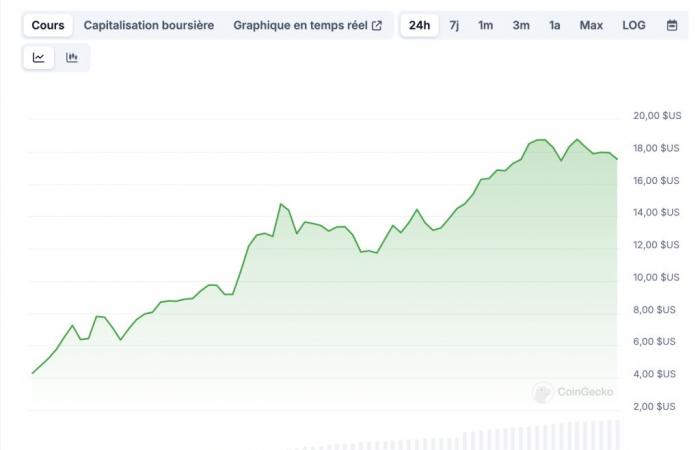 Memecoin Donald Trump: should you buy?