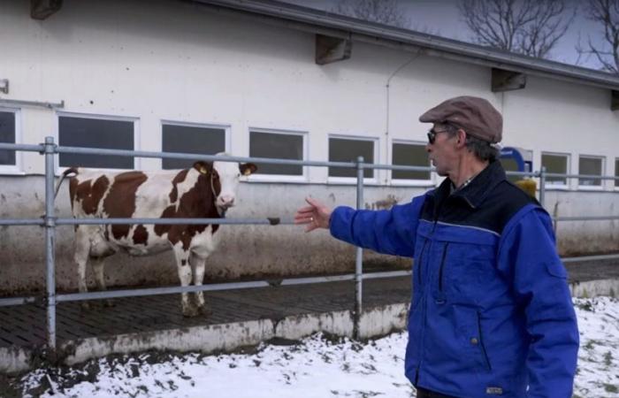 The Swiss farmer: Dispute over wind farm: Will there be expropriation?