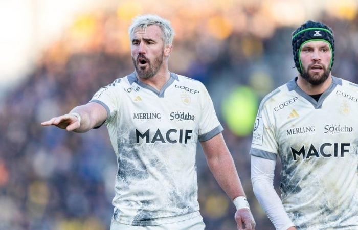 Champions Cup – Notes from Treviso – La Rochelle: Gregory Alldritt was not enough, Kane Douglas transparent