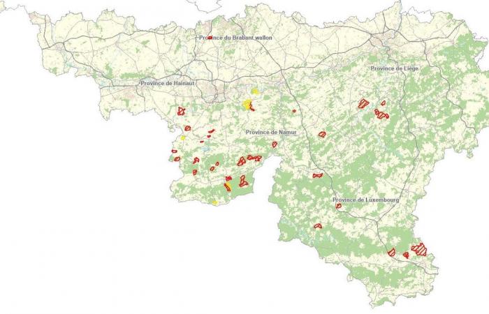 Paths to avoid this weekend when walking, hiking or cycling in the forests of Wallonia