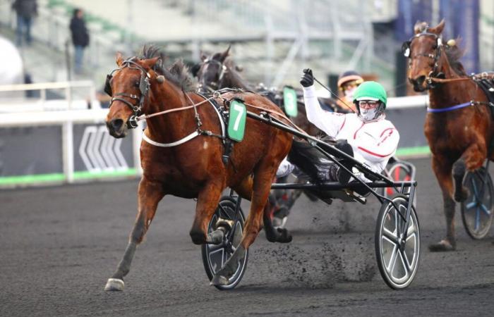 Prix ​​de Brest (Gr. III): Inato Pierji responds